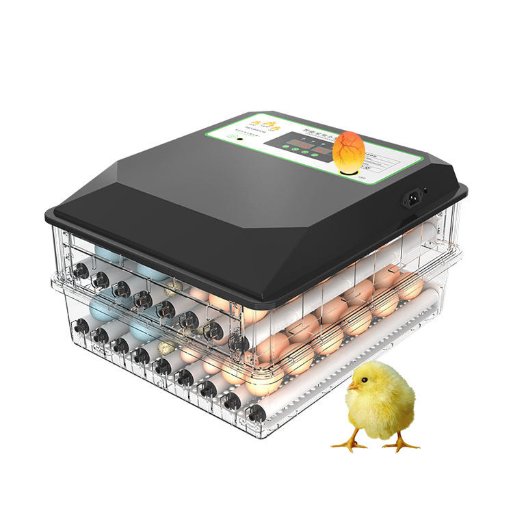 Poultry Incubator - Szeroko stosowany automatyczny inkubator do wylęgu