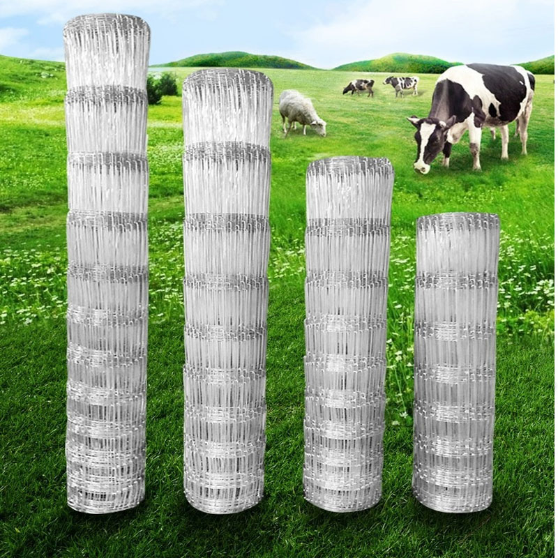 Rabbit Cage Wire - 1X50Metrów 10-25cm szczelina dla zwierząt gospodarskich