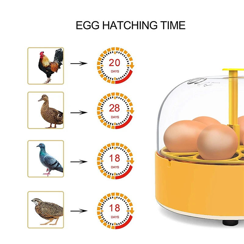 Inkubator do hodowli kur, kacz – Poultry Incubator recenzja i cena