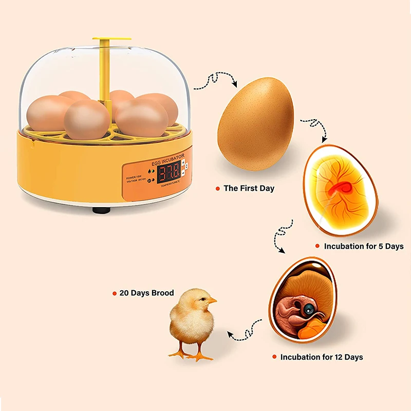 Inkubator do hodowli kur, kacz – Poultry Incubator recenzja i cena
