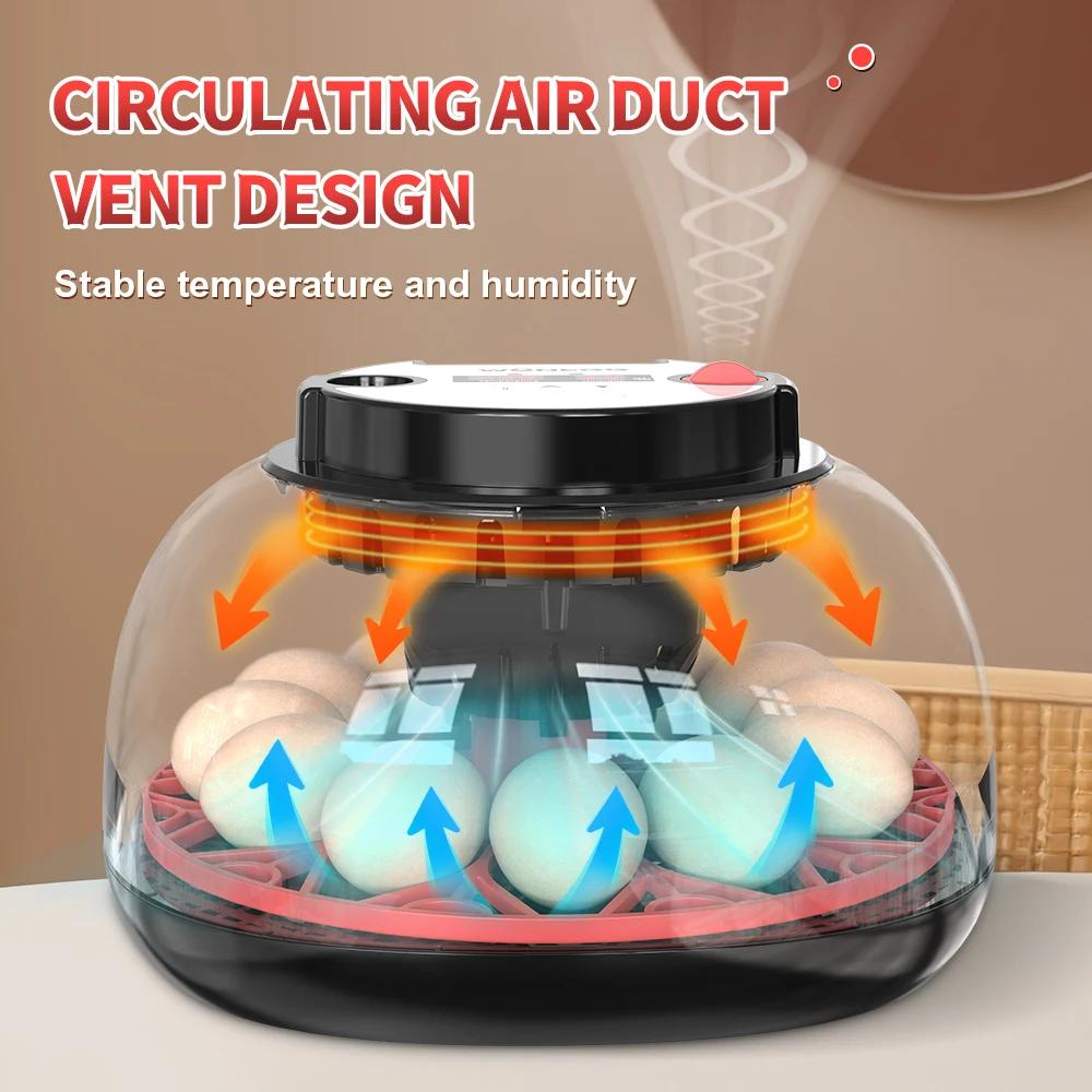 Inkubator na 12 jaj z automaty – Poultry Incubator recenzja i cena