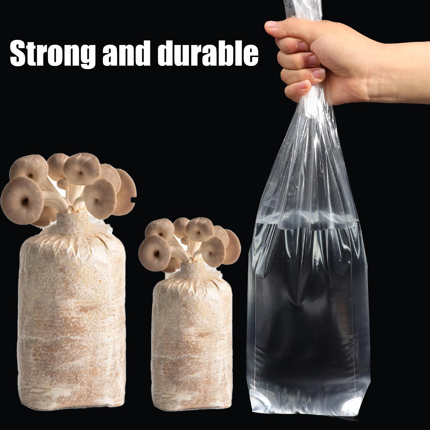 5 szt. Worków do uprawy grzybó – Mushroom Spawn Bag recenzja i cena