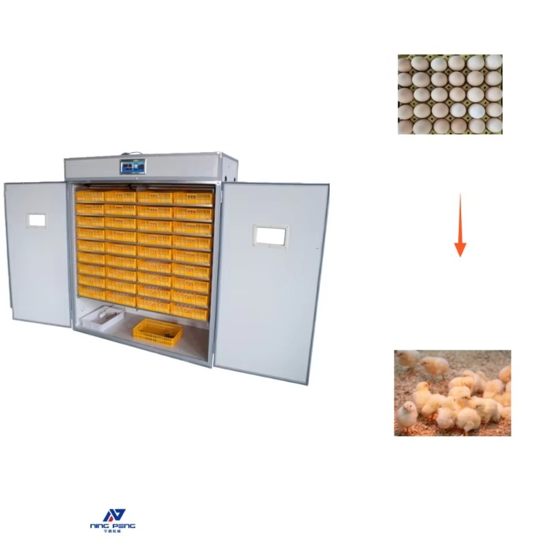 Maszyna do inkubacji jaj drobi – Poultry Incubator recenzja i cena
