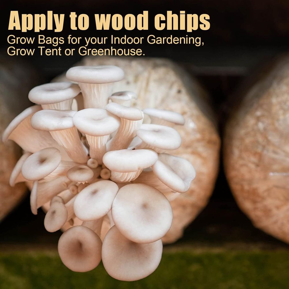 Worki do hodowli grzybów, 20 s – Mushroom Spawn Bag recenzja i cena
