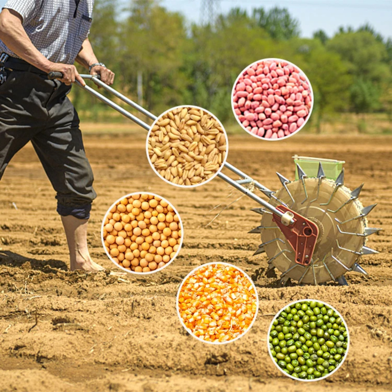 Maszyna do sadzenia cebuli Far – Agriculture Onion Farming recenzja i cena