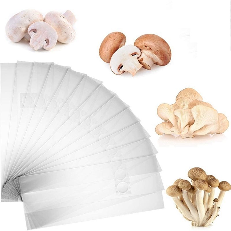 PZHI-100 szt. Worek do hodowli – Mushroom Spawn Bag recenzja i cena
