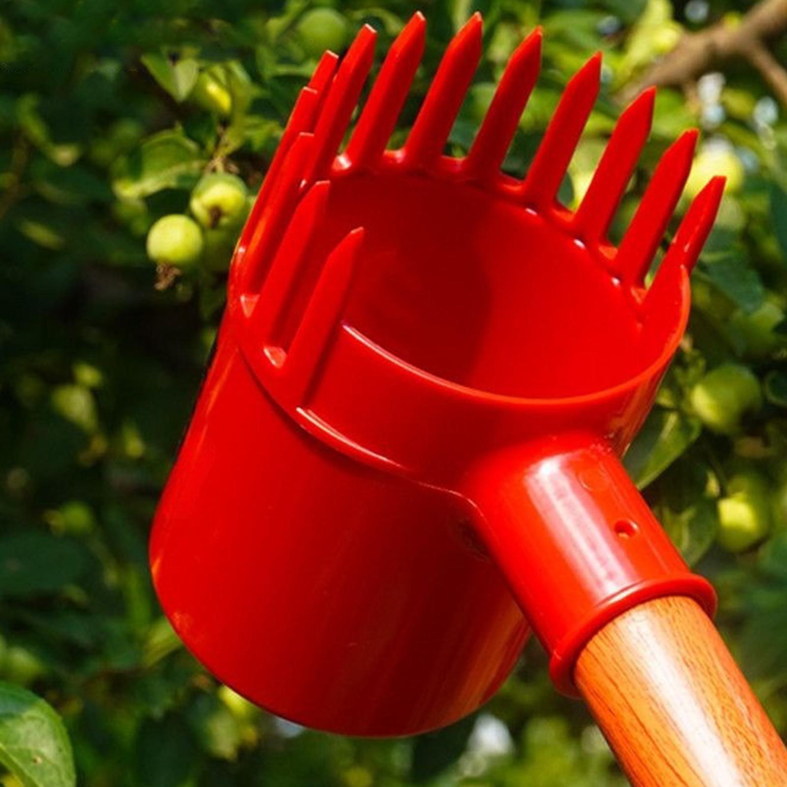 Przenośny zbierak do owoców, n – Agriculture Tomato Farming recenzja i cena