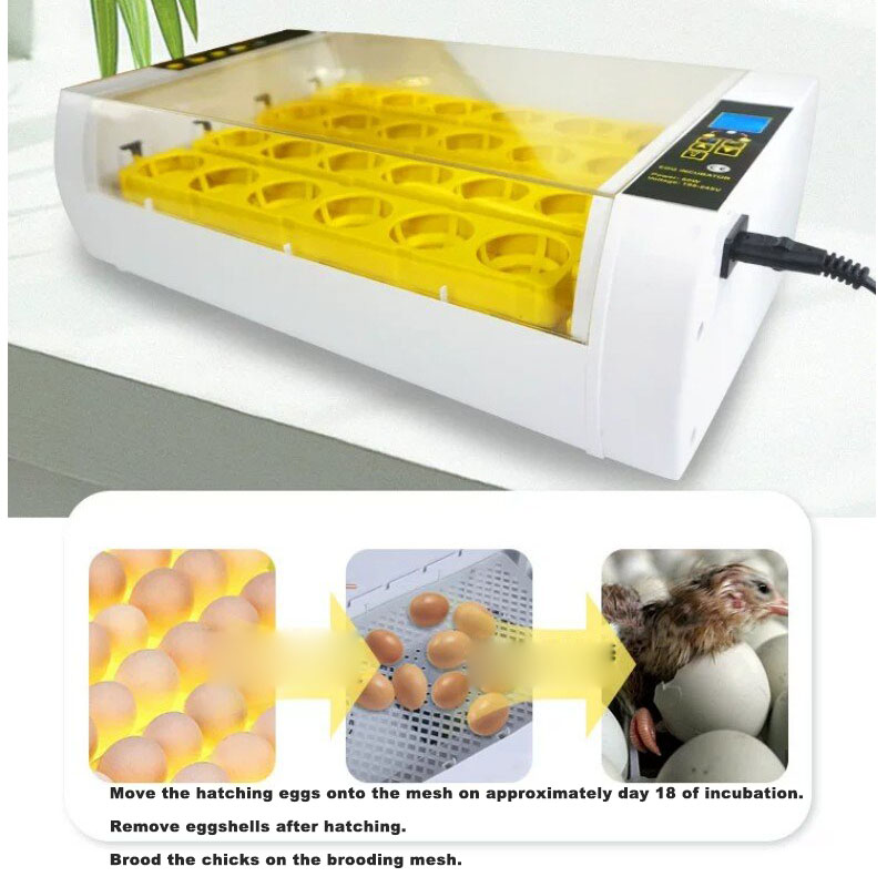 W pełni automatyczny inkubator – Poultry Incubator recenzja i cena