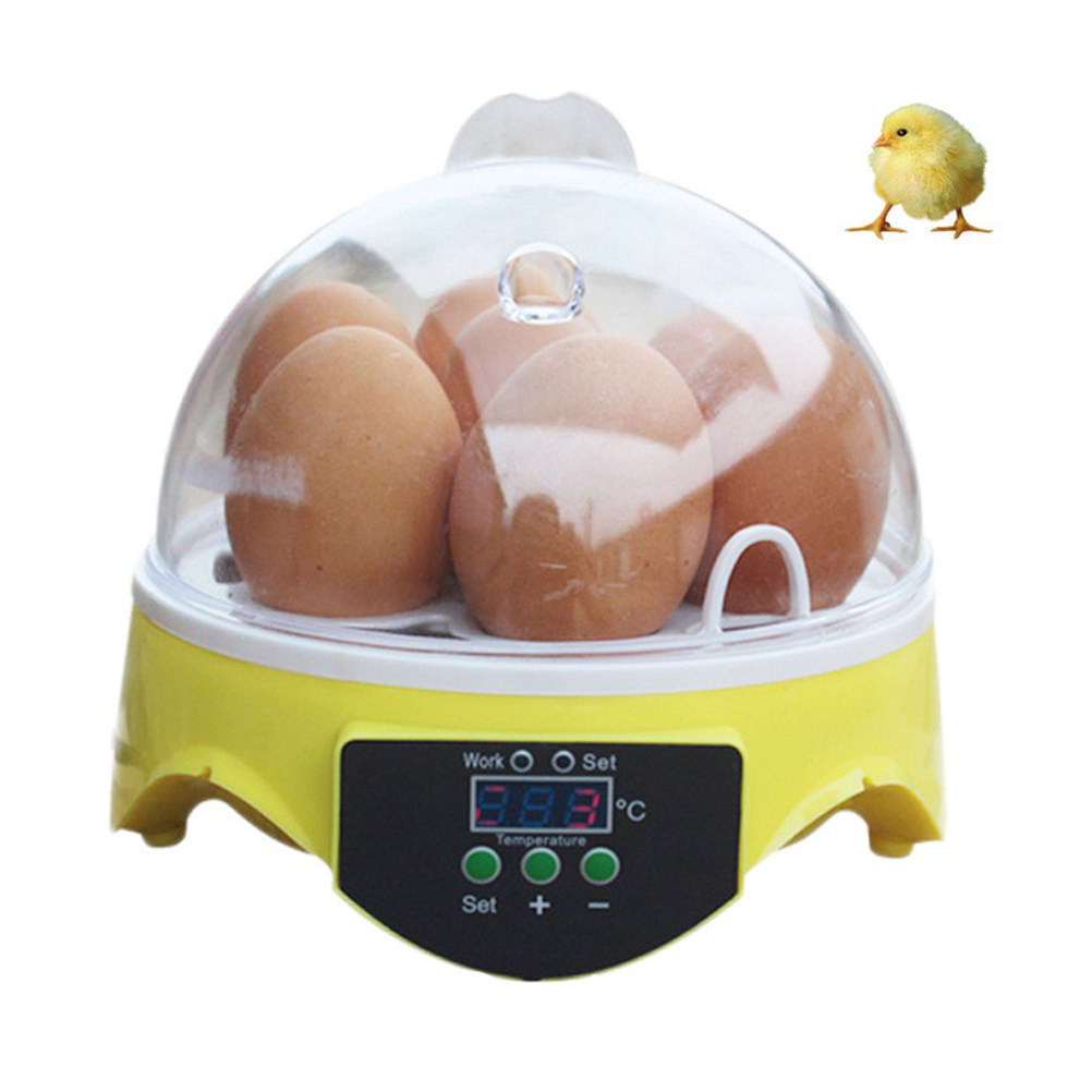 7-jajowy inkubator do hodowli  – Poultry Incubator recenzja i cena