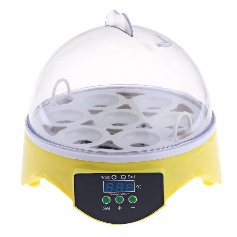 7-jajowy inkubator do hodowli  – Poultry Incubator recenzja i cena
