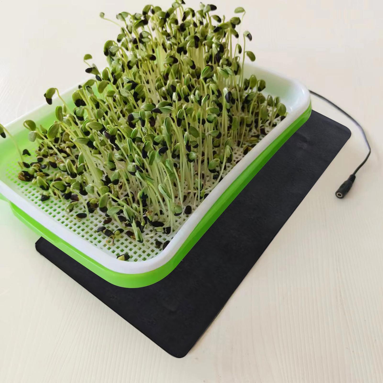 Mata grzewcza dla sadzonek 8.5 – Seedling Heat Mat recenzja i cena