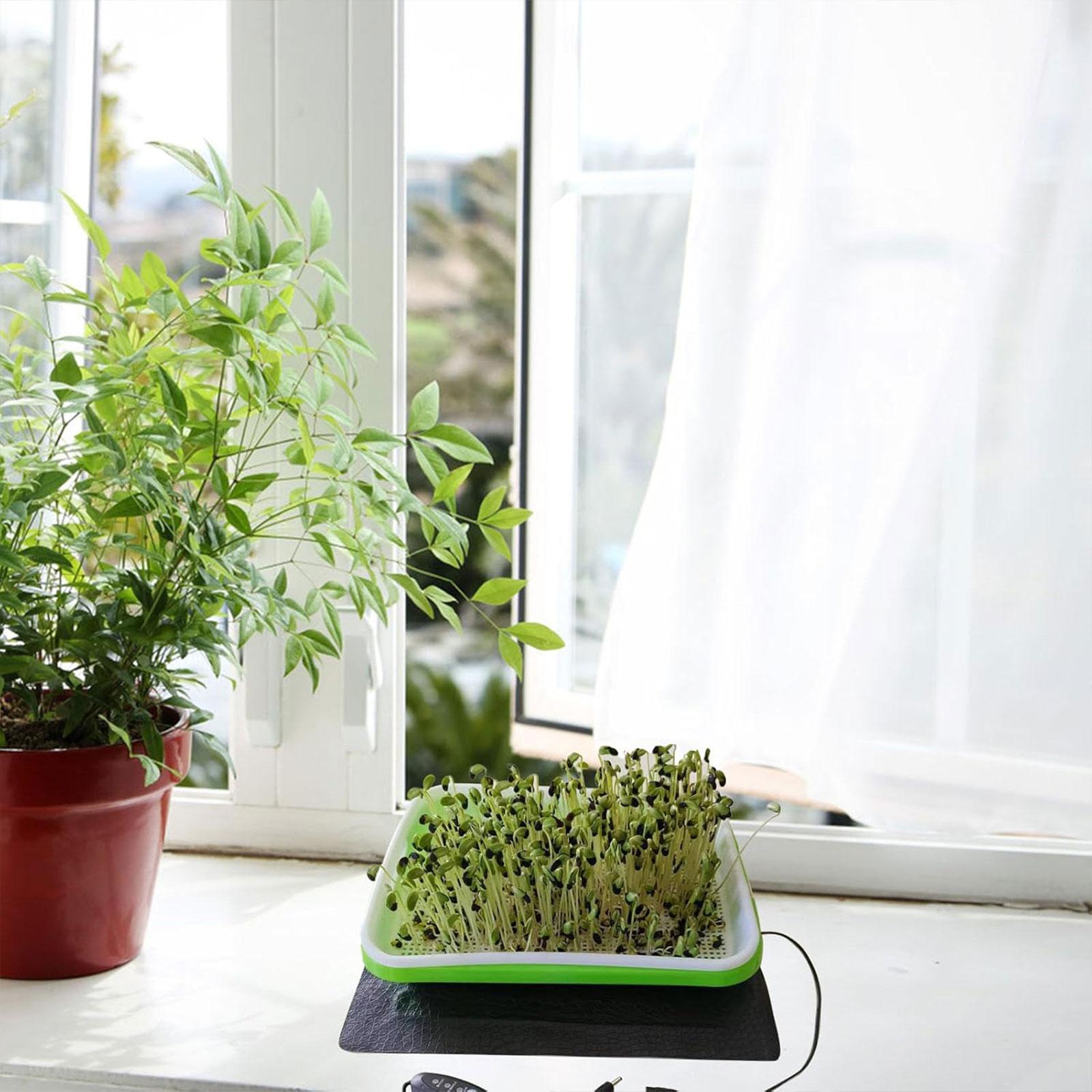 Mata grzewcza do hydroponiki d – Seedling Heat Mat recenzja i cena