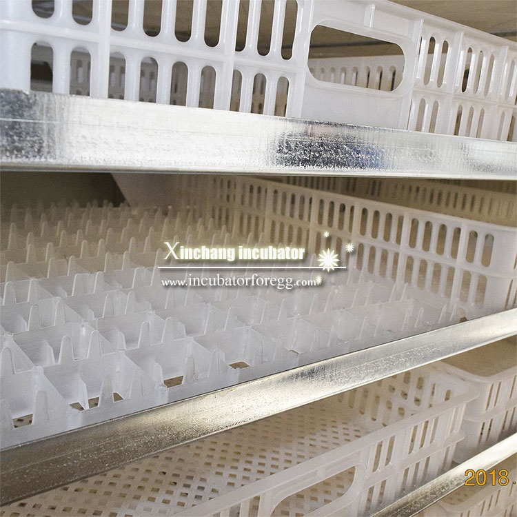 5000 Jajek Maszyny do Małych G – Poultry Incubator recenzja i cena