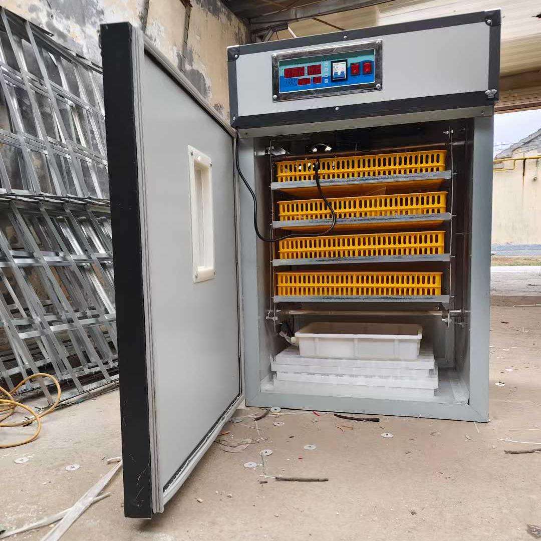 Automatyczny inkubator Cyfrowa – Poultry Incubator recenzja i cena