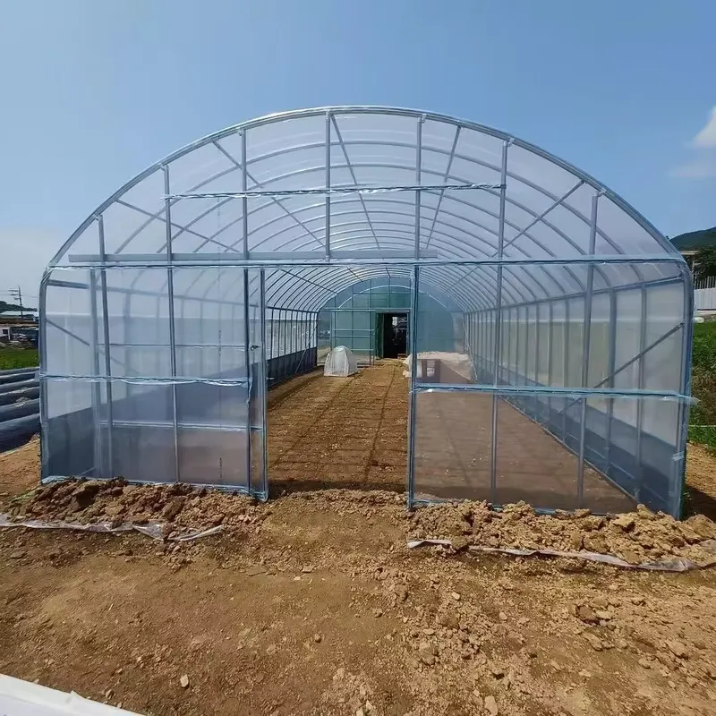 Skrzydłowe szklarnie rolnicze  – Agriculture Tomato Farming recenzja i cena