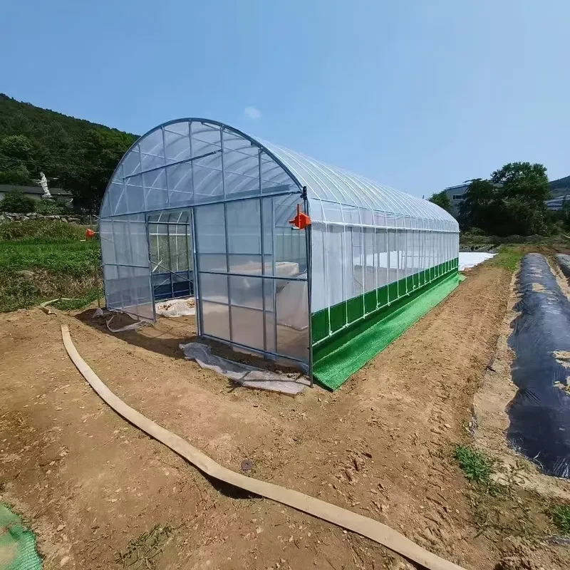 Skrzydłowe szklarnie rolnicze  – Agriculture Tomato Farming recenzja i cena