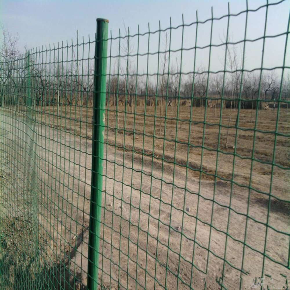 Ogrodzenie ogrodowe Ogrodzenie – Rabbit Cage Wire recenzja i cena