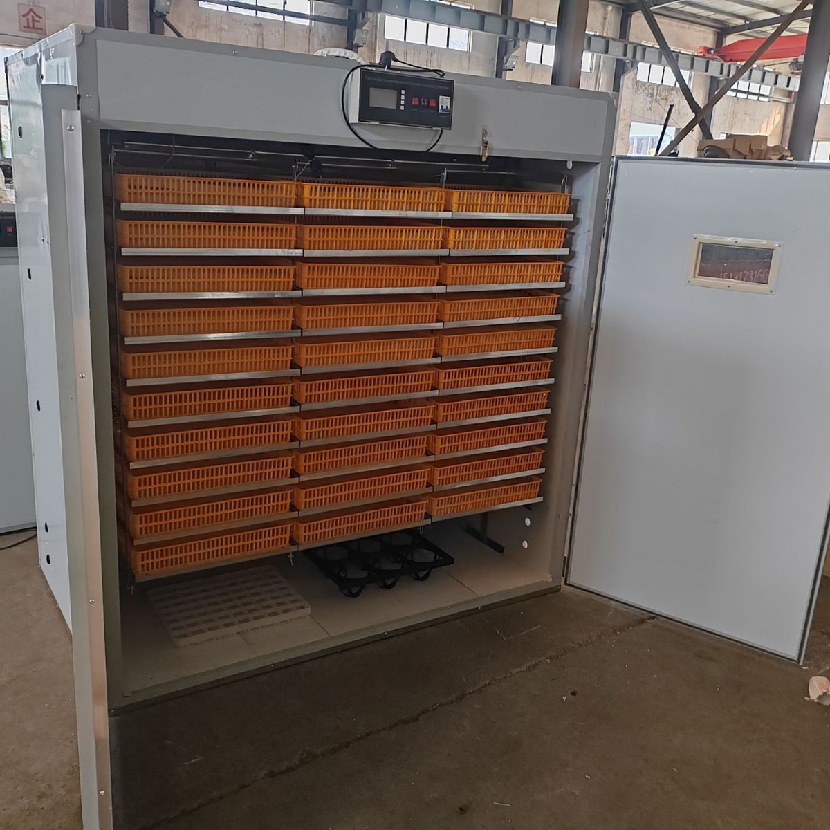 Automatyczny inkubator do jaj  – Poultry Incubator recenzja i cena