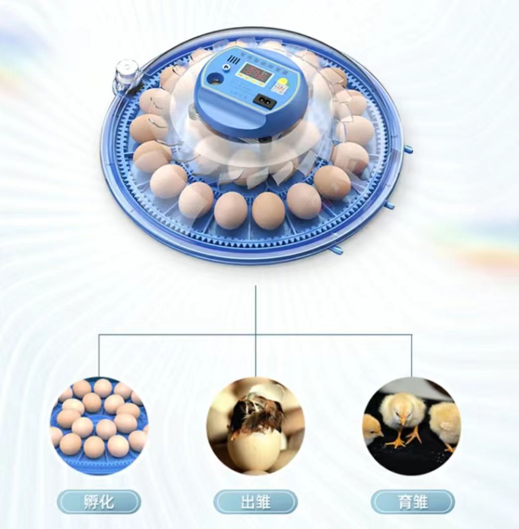 Inkubator do jaj kurzych 20/24 – Poultry Incubator recenzja i cena